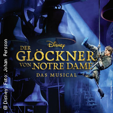 Disney Der Gl&ouml;ckner von Notre Dame