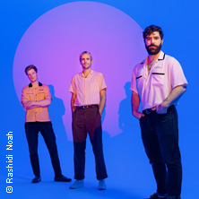 Foals
