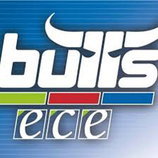 Kapfenberg Bulls