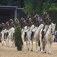 Lipizzanergala am Heldenberg