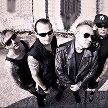 The Bones