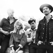 The Common Linnets