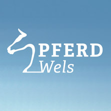 Pferd Wels