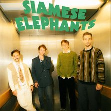 Siamese Elephants