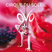 Cirque du Soleil