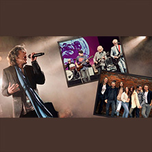 20 Jahre The Stonez