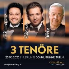 3 Ten&ouml;re