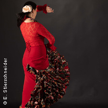 Alegr&iacute;a x Flamenco - El Cuadro