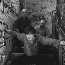 Ansa Sauermann Trio