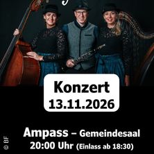 Die Hoameligen - Winterg'f&uuml;hl
