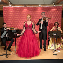 Girardi Ensemble - Neujahrskonzert