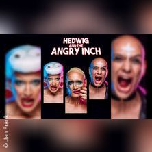 Hedwig And The Angry Inch