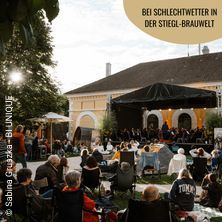 Konzertpicknick Allwetter Ticket