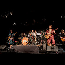 Luigi e Fudelio & Friends