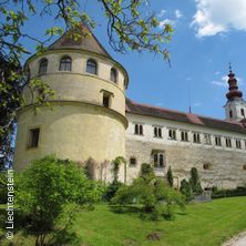 MOZART IN WORT UND TON