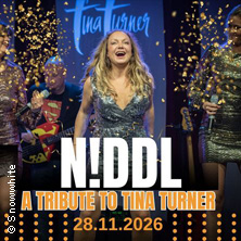 N!ddl &ndash; Tribute to Tina Turner