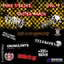 Punx & Skins United Again - Vol.3