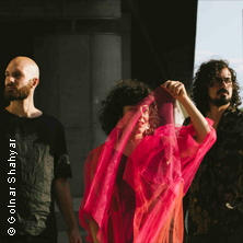 Sargfabrik Rooftop Festival