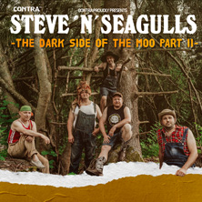 Steve 'n' Seagulls