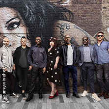 The Amy Winehouse Band