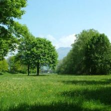 Festivalgel&auml;nde Alter Rhein
